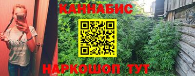 бошки Будённовск