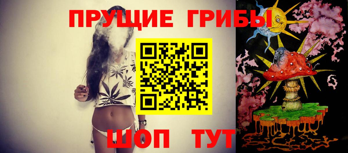 Псилоцибиновые грибы Magic Shrooms Печора
